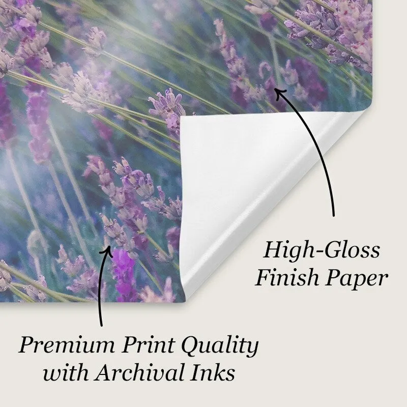 "Adjacent Shapes I" Poster Print