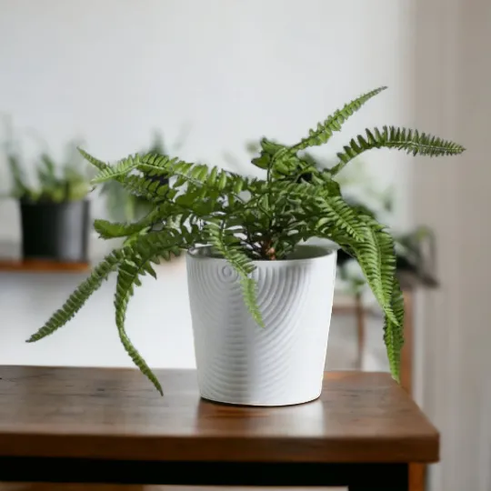 White Ripple Effect Ceramic Plant Pot